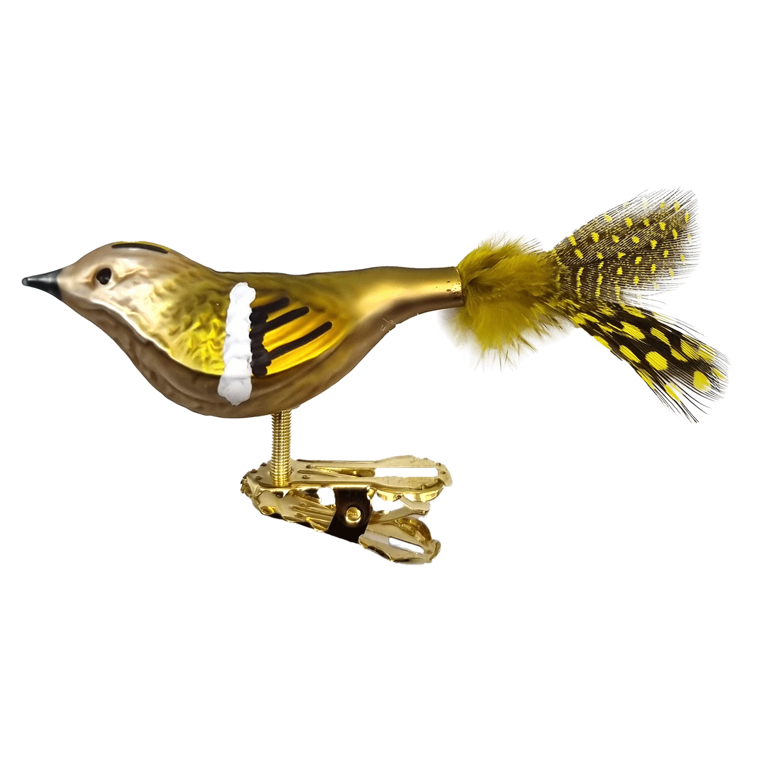 Wintergoldhähnchen mit Perlhuhnfedern