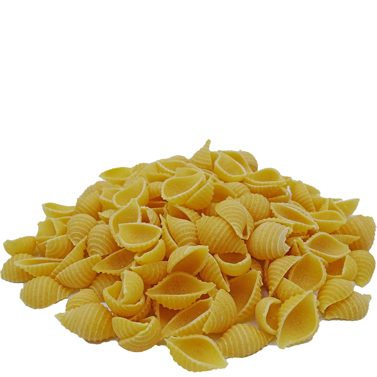 Muscheln
