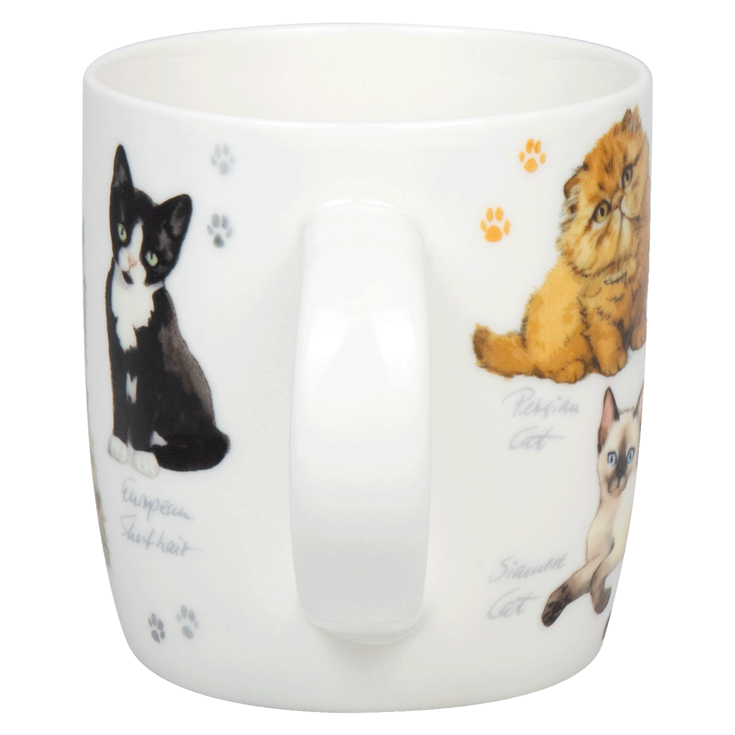 Natures Diversity-Katzen
