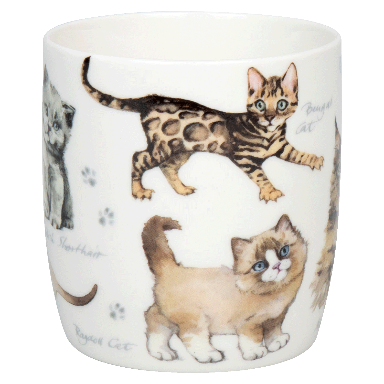 Natures Diversity-Katzen