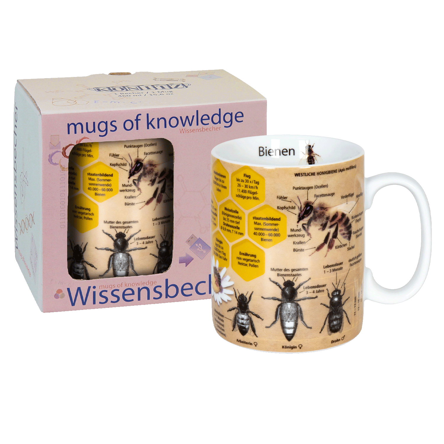 Wissensbecher - Biene
