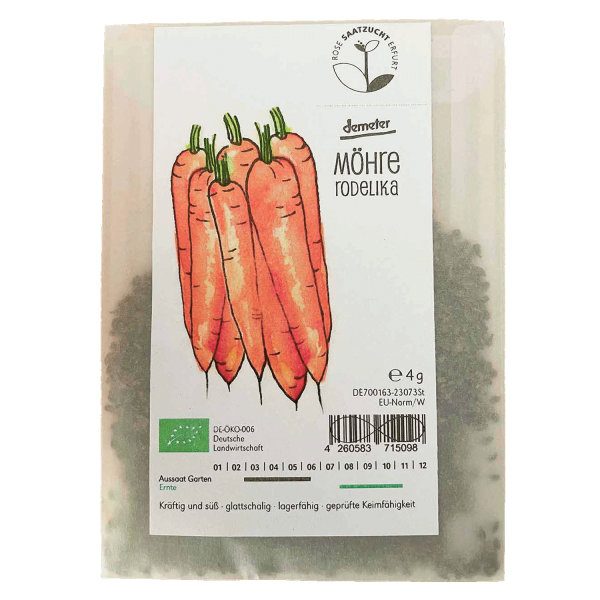 Saatgut - Möhre Rodelika
