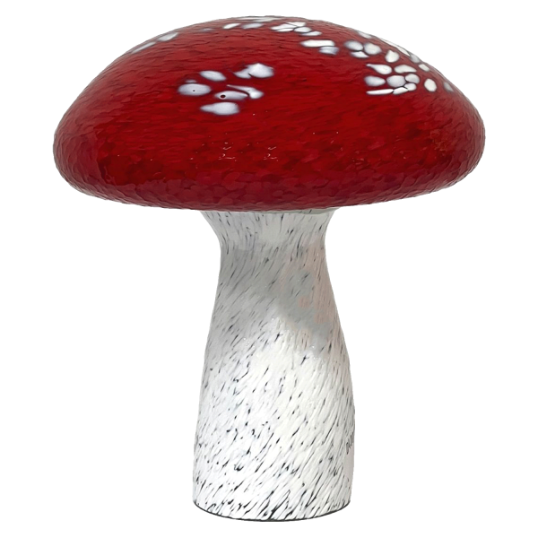 Fliegenpilz - mittel - runde Kappe