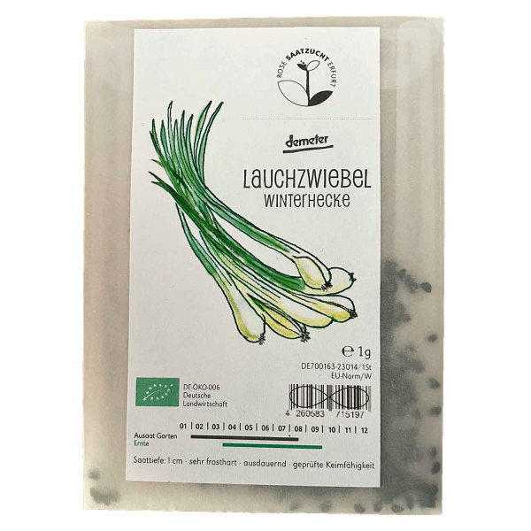 Saatgut - Lauchzwiebel Winterhecke