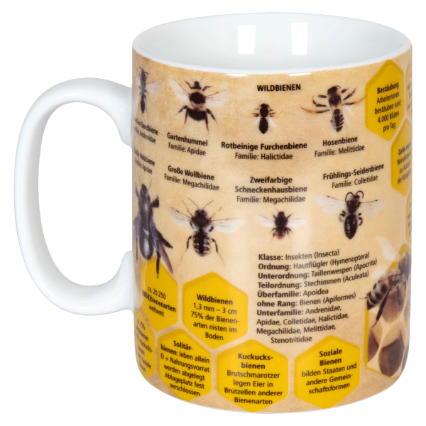 Wissensbecher - Biene