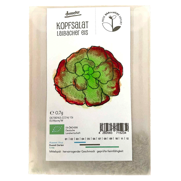 Saatgut - Eisbergsalat Laibacher Eis