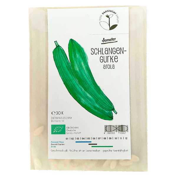 Saatgut - Salatgurke Arola