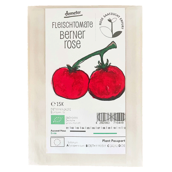 Saatgut - Fleischtomate Berner Rose