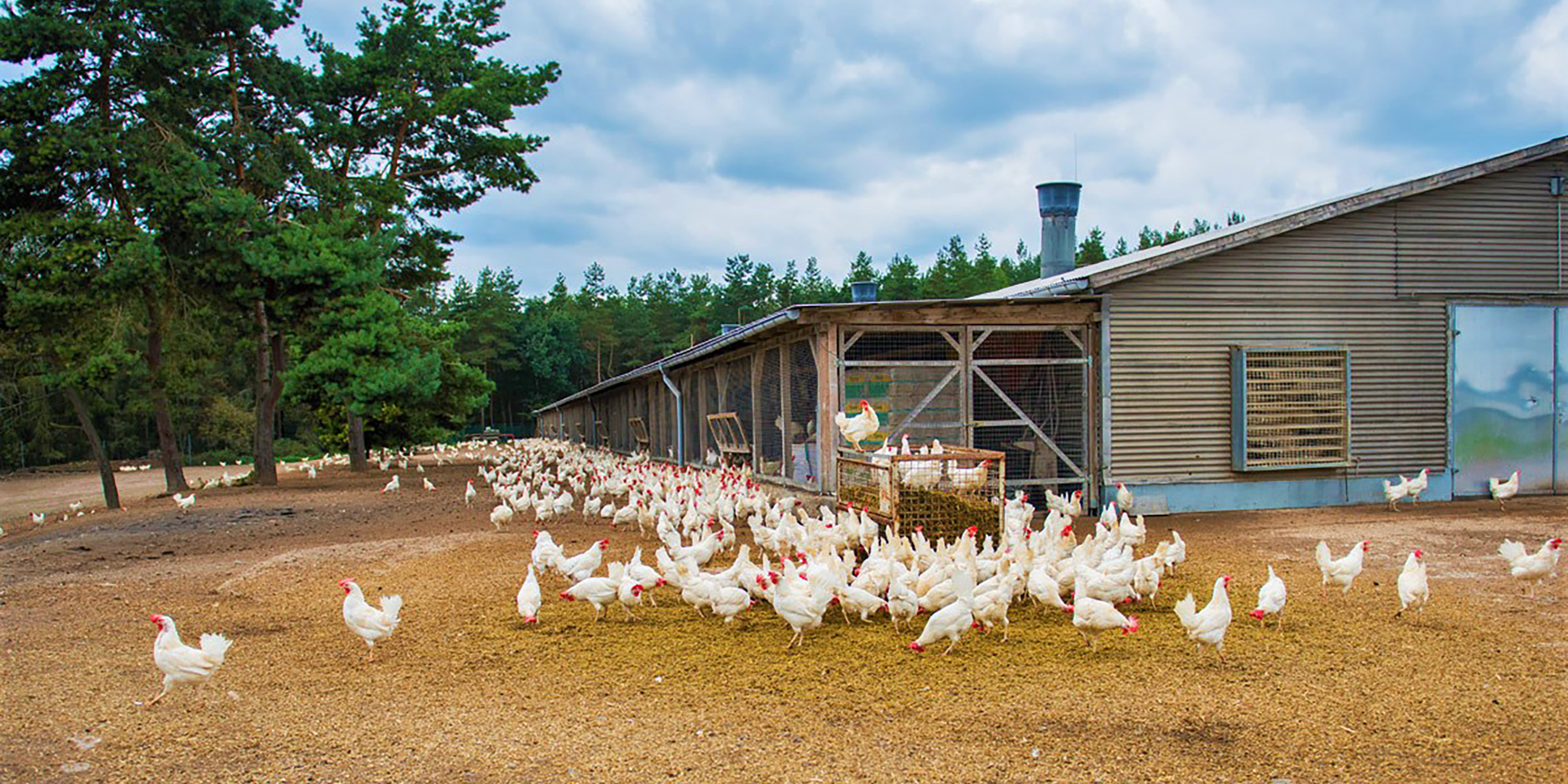 Partnerbild_Teichweiden_3000x1500_web